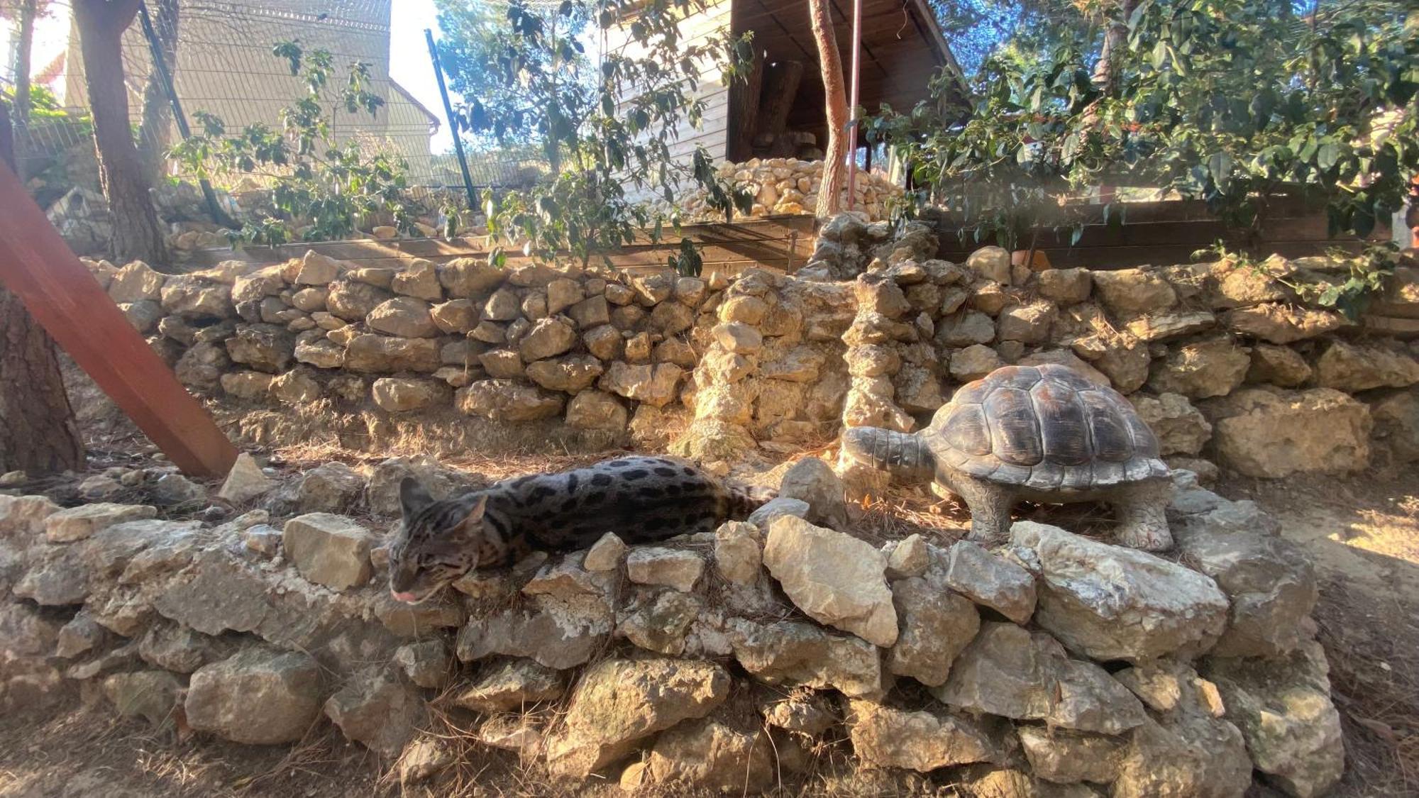 הוילה נרבון Les Jardins De L'Oustal מראה חיצוני תמונה